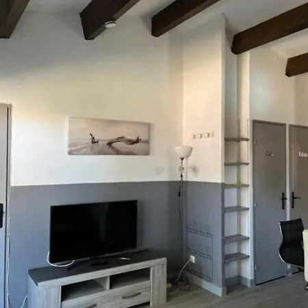 דירה Superbe T2 Avec Piscine, Parking Prive Et Terrasse, Proche Du Village Naturiste Et Du Port - Fr-1-749-17