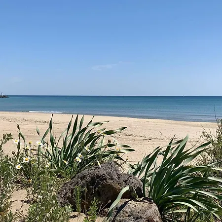 דירה Superbe T2 Avec Piscine, Parking Prive Et Terrasse, Proche Du Village Naturiste Et Du Port - Fr-1-749-17 *